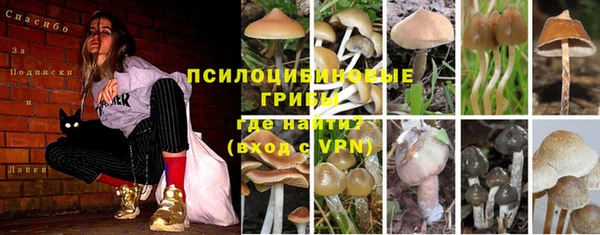 прущие крисы Алексеевка