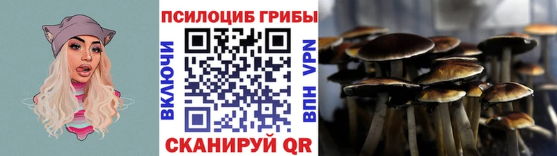 Псилоцибиновые грибы Cubensis  Мценск 